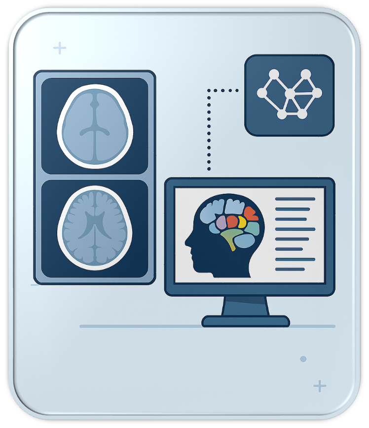 A representation of a model trained on neurological images to form a contouring atlas